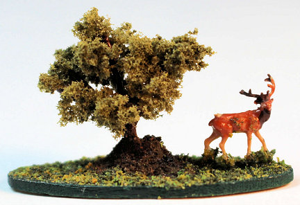 (image for) Bonsai tree