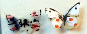 (image for) 2 butterflies