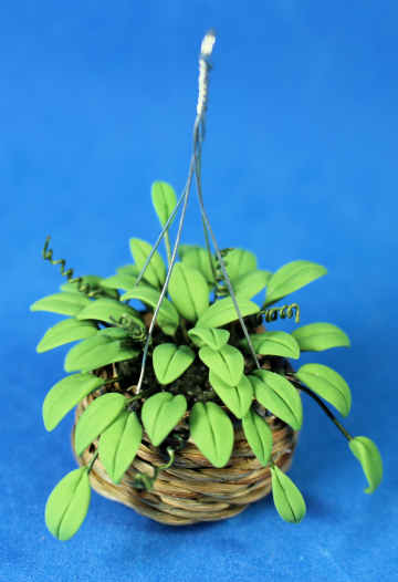 (image for) Hanging plant