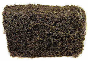 (image for) Hedge - tall