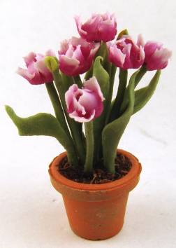 Tulips in pot - lavender - Click Image to Close