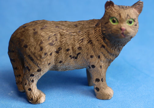 (image for) Large cat