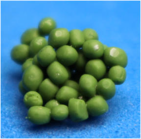 Side of peas