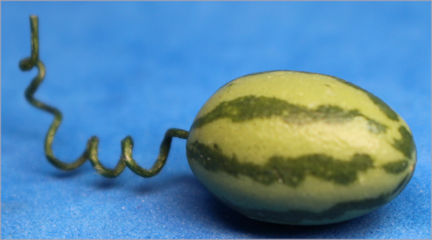 Sugar baby watermelon - Click Image to Close
