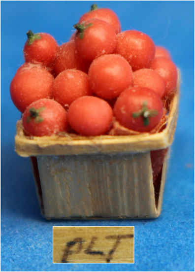Pint basket of cherry tomatoes