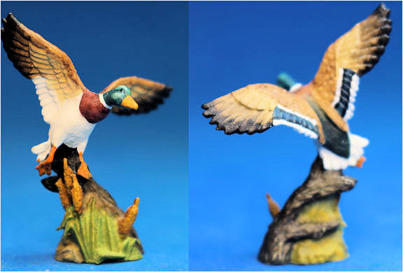 (image for) Mallard duck