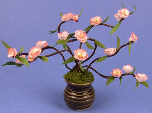 (image for) Flowering bush