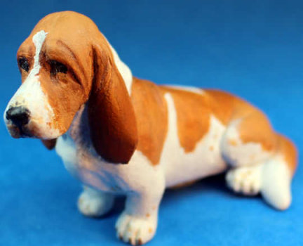 (image for) Bassett hound