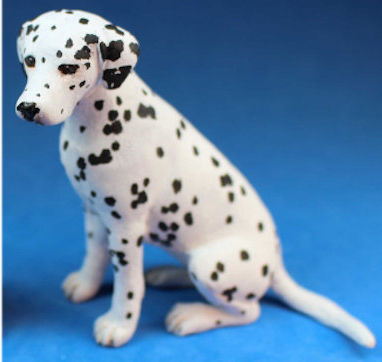 (image for) Dalmation