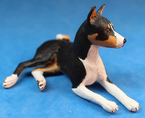 (image for) Basenji dog