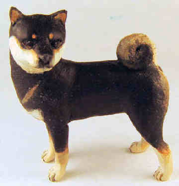 Shiba Inu dog