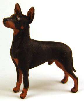 Manchester terrier dog