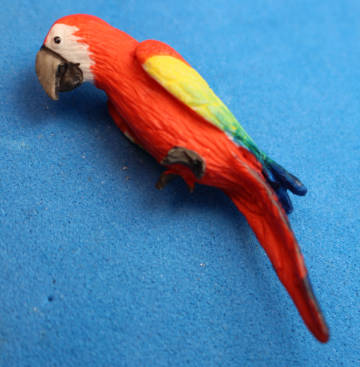Macaw/parrot