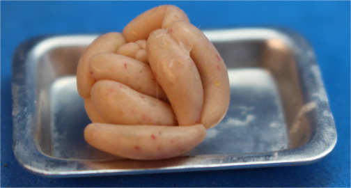 (image for) Bratwurst