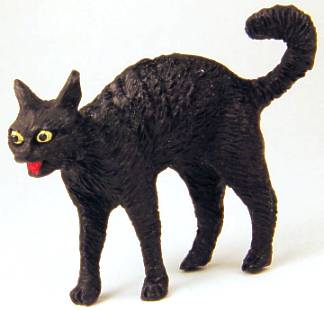 Scared black cat