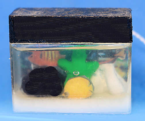 (image for) Aquarium