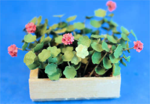 (image for) Flat of flowers
