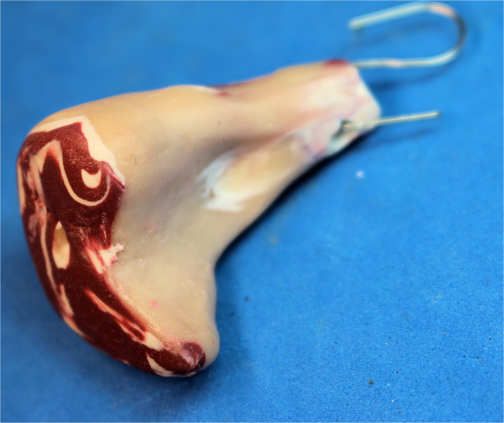 (image for) Cut of beef