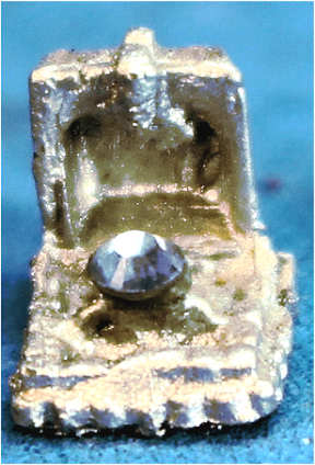 (image for) Ring in presentation case