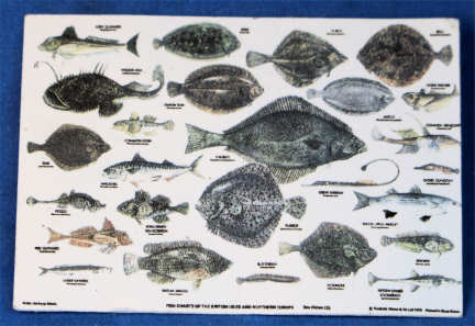 Fish species chart