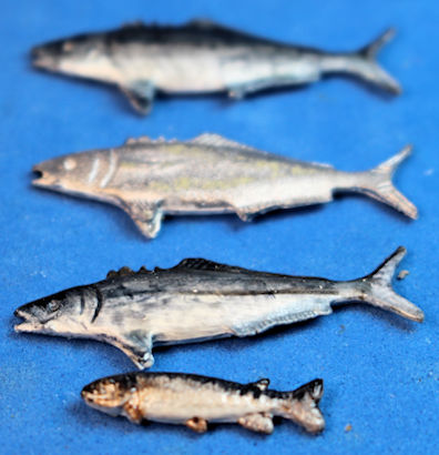 (image for) Fish - set of 4