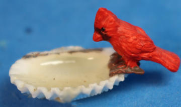 Cardinal on shell feeder