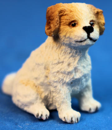 (image for) Puppy
