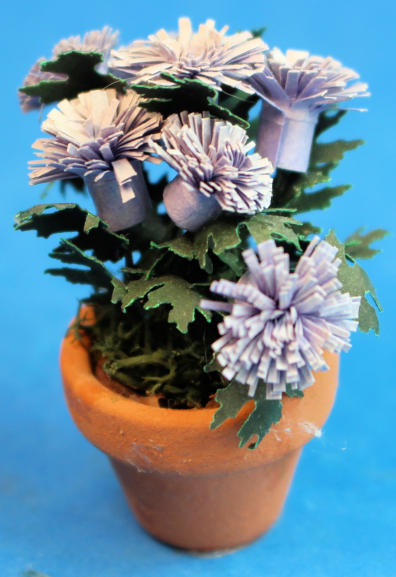 Flowers in terra cotta pot