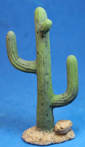 (image for) Cactus