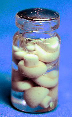 (image for) Jar of mushrooms