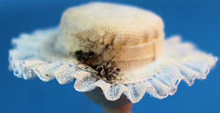 (image for) Hat - casual