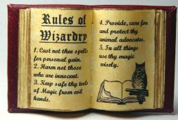 (image for) Wizardry book - open