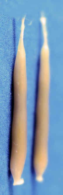 (image for) Candles, wax - amber - set of 2