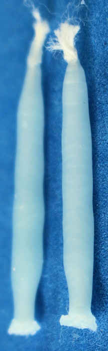 (image for) Candles, wax - light blue - set of 2