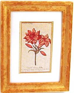 (image for) Lily print