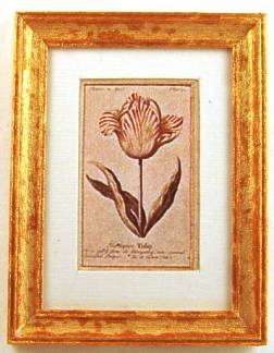 Tulip print