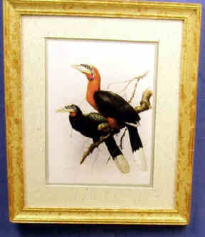 (image for) Toucans print