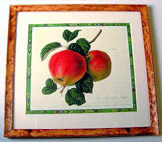 (image for) Apples print