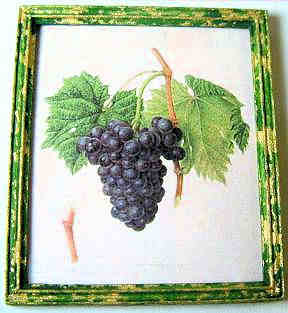 (image for) Grapes print