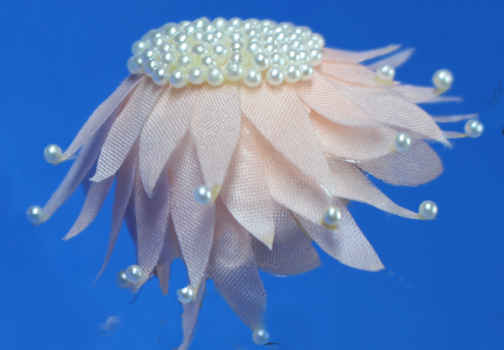 Lady's hat (image for) Lady's hat