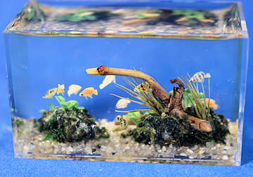 (image for) Aquarium