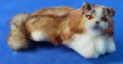 (image for) Cat by Alice Zinn