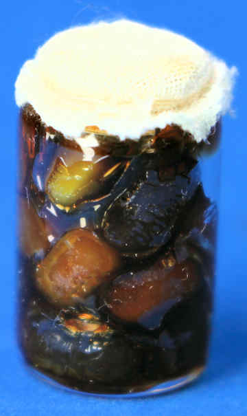 (image for) Jar of Avocados
