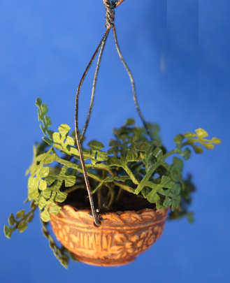 (image for) Hanging greenery
