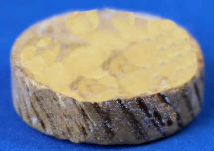 Cheese wheel (image for) Cheese wheel