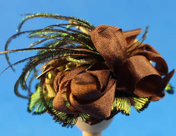 (image for) Fancy hat