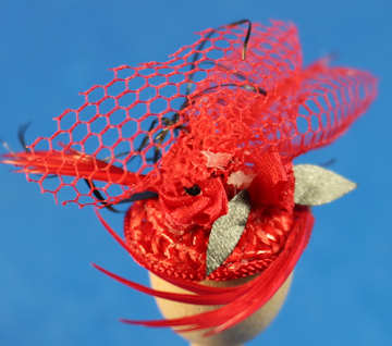 (image for) Fancy hat