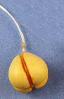 (image for) Scamorza cheese light