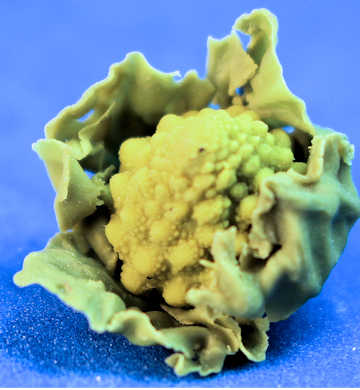 (image for) Green Cauliflower