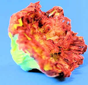 (image for) Red leaf lettuce